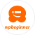 Wpbeginner Icon